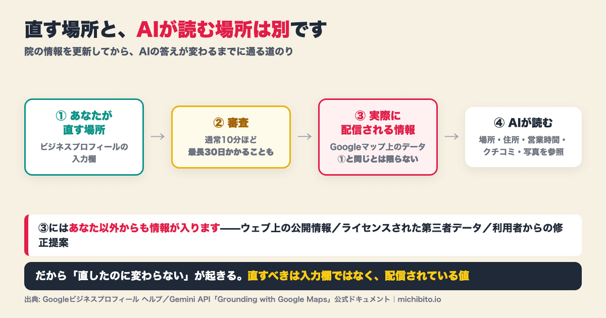情報が反映されるまでの流れの図解。①あなたが直す場所はビジネスプロフィールの入力欄、②審査は通常10分ほどだが最長30日かかることもある、③実際に配信される情報はGoogleマップ上のデータで①と同じとは限らない、④AIはその配信データの場所・住所・営業時間・クチコミ・写真を読む。③にはウェブ上の公開情報、ライセンスされた第三者データ、利用者からの修正提案も入る